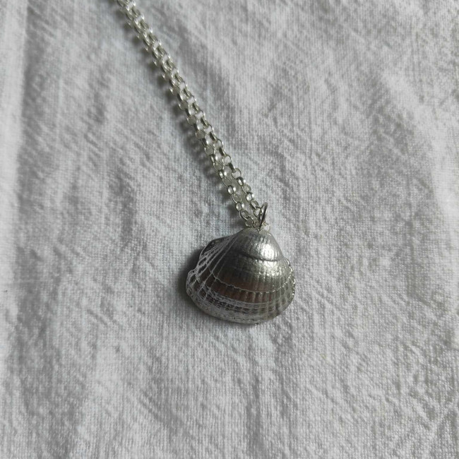 Sample Sale Cockle Shell Necklace